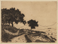 KG 09652
<br/>
Landschap met paadje bij Collioure
<br/>
<em>Bosch, Lodewijk Johannes (1894-1980)</em>